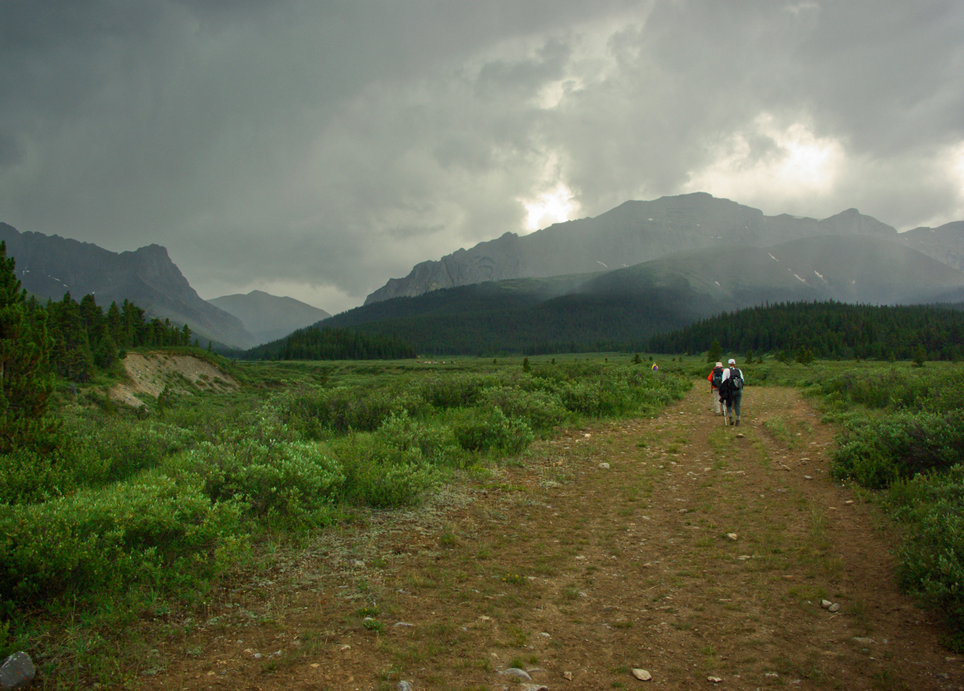 Willmore Wilderness Park, Rocky Mountains, Alberta, Canada